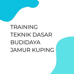 pelatihan TEKNIK DASAR BUDIDAYA JAMUR KUPING di jakarta