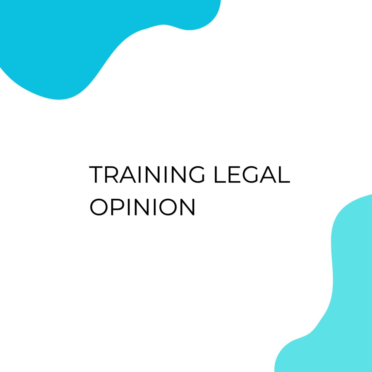 pelatihan LEGAL OPINION di jakarta